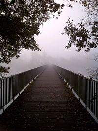 Road passing through foggy weather