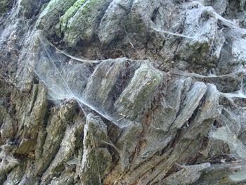 Close-up of rock formation