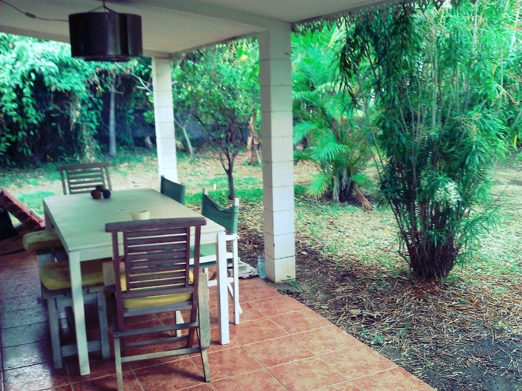 chair, tree, empty, absence, table, growth, plant, bench, seat, sunlight, potted plant, built structure, house, indoors, day, architecture, green color, no people, window, nature