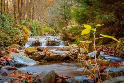 Autumn forest and river scene with waterfall. long exposure. seasonal vibes warm atmosphere