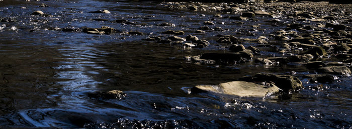 High angle view of water flowing through rocks