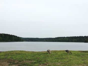 Scenic view of lake against sky