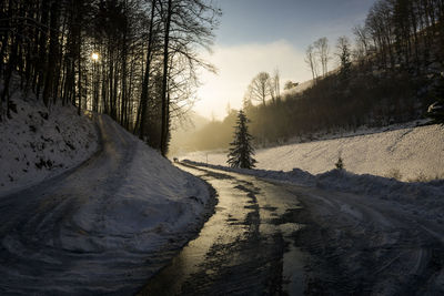 Snow covered road amidst trees against sky during winter