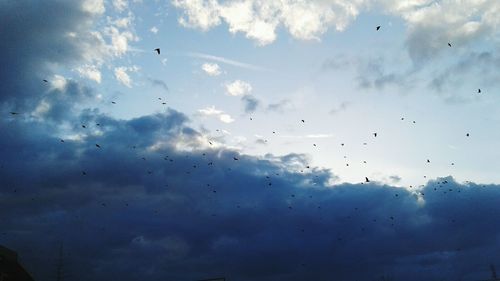 Low angle view of silhouette birds flying against sky