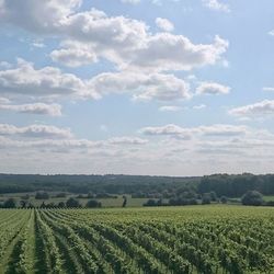 Scenic view of field against cloudy sky