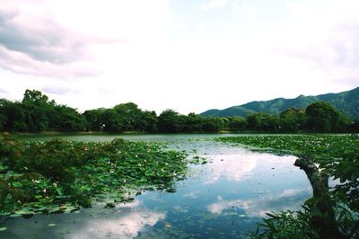 Scenic view of lake against cloudy sky