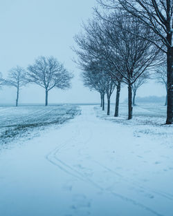 Bare trees on snow covered landscape against sky