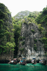 Scenic view of sea and rocks against trees