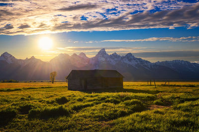 Scenic view of field against sky