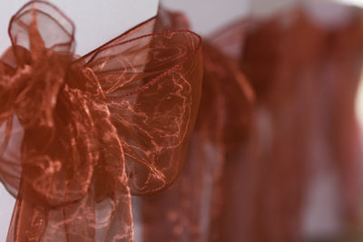 Close up of leaf