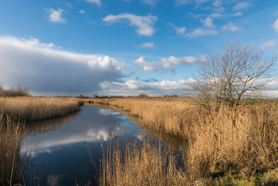 Scenic view of lake against sky