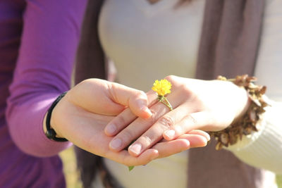 Close-up of woman hand holding red flower