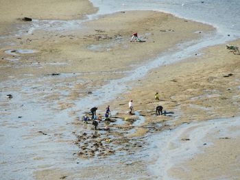 High angle view of people at beach