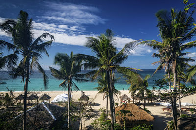 Palm trees on beach against sky