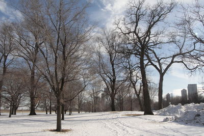 Scenic view of snow covered landscape