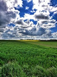 Scenic view of field against cloudy sky