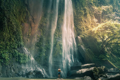 Rear view of man standing against waterfall