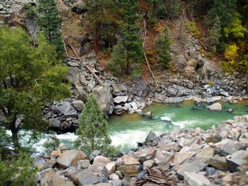Stream flowing through rocks in forest