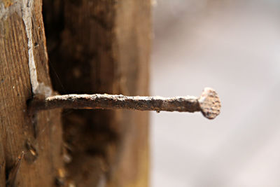 Close-up of rusty metal