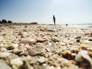 Surface level of pebble beach against clear sky