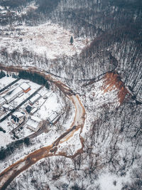 High angle view of frozen tree during winter