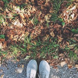 Low section of person standing on ground