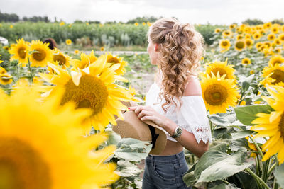 A young girl with a model appearance, in denim trousers and a white blouse in a sunflower field