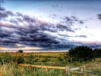 Scenic view of field against sky