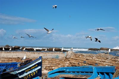 Seagulls flying over sea against blue sky