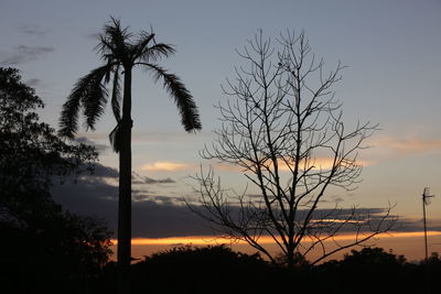 Silhouette trees against sky during sunset