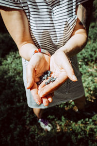 Low section of woman holding blueberries at tyresta national park