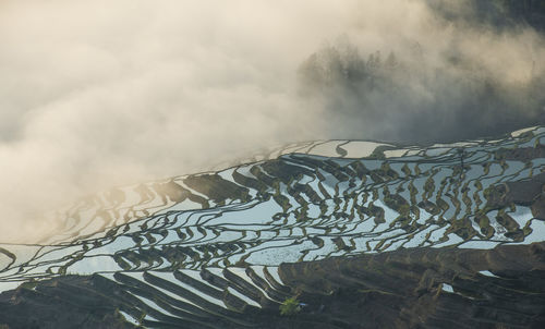 Scenic view of landscape against sky