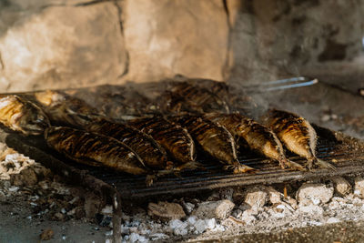 Fresh-caught fish grilling and sizzling in stone oven partly illuminated by the sun.