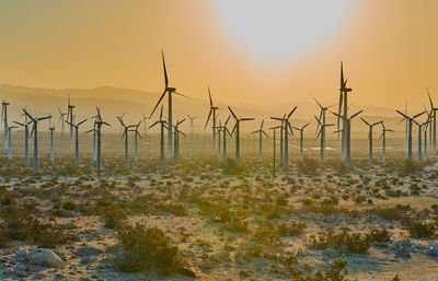 Windmills at sunset