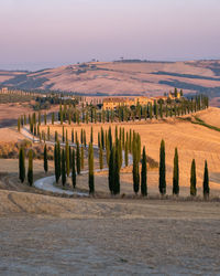 Scenic view of field against sky during sunset