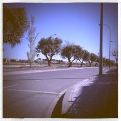 Empty road along trees