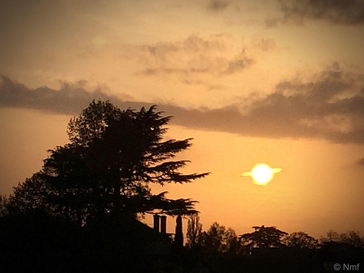 SCENIC VIEW OF TREES AGAINST SKY AT SUNSET