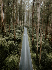 High angle view of car on road amidst trees in forest