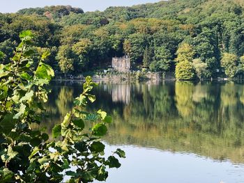 Scenic view of lake in forest