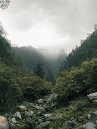 Scenic view of mountains against sky during foggy weather