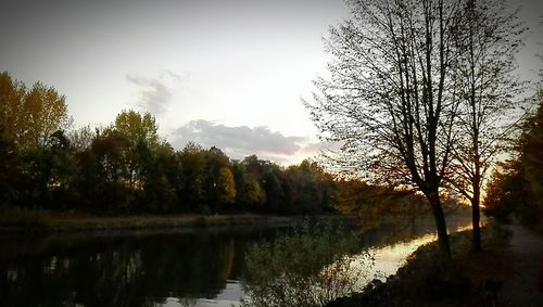 Scenic view of lake in forest against sky