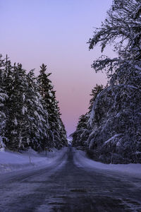 Empty road amidst trees against clear sky during winter