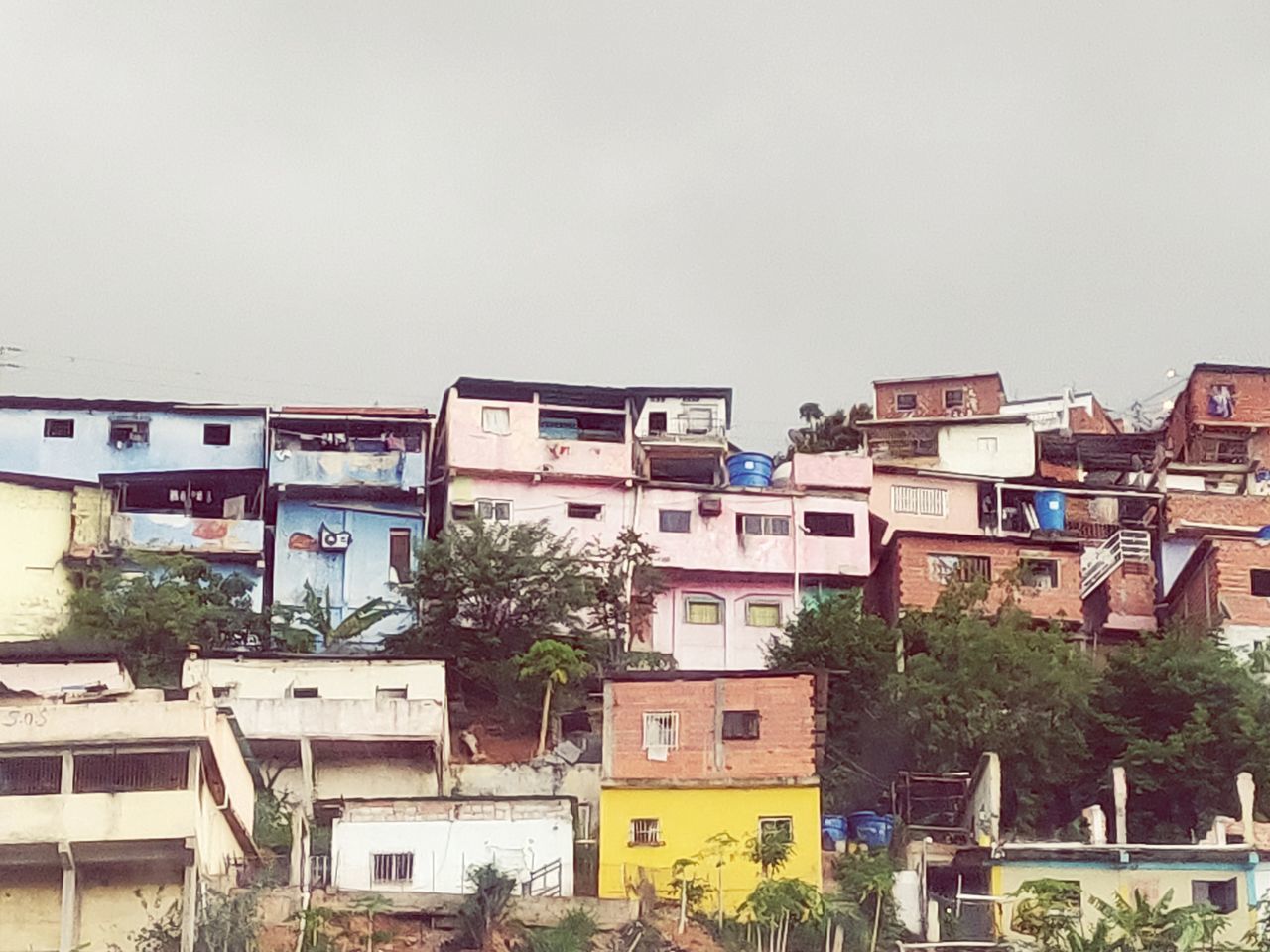 building exterior, architecture, built structure, sky, building, residential district, clear sky, no people, city, nature, plant, copy space, day, tree, outdoors, house, low angle view, communication, old, apartment