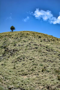 Scenic view of landscape against blue sky