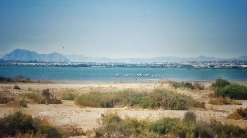 View of sea against sky