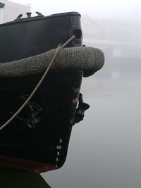 Close-up of crab on sea against sky