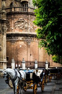 Bicycles parked on street in city