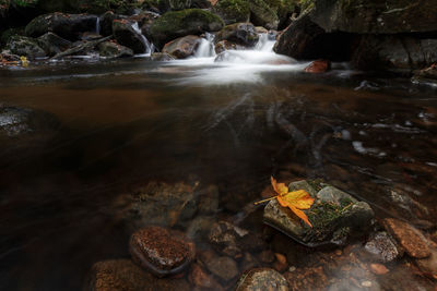 Stream flowing through rocks in forest