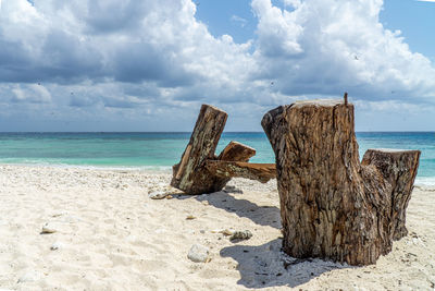 Wooden posts on beach against sky