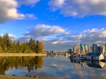 Sailboats in marina